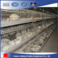 Курицы птицы в клетке птицы оборудование на продажу